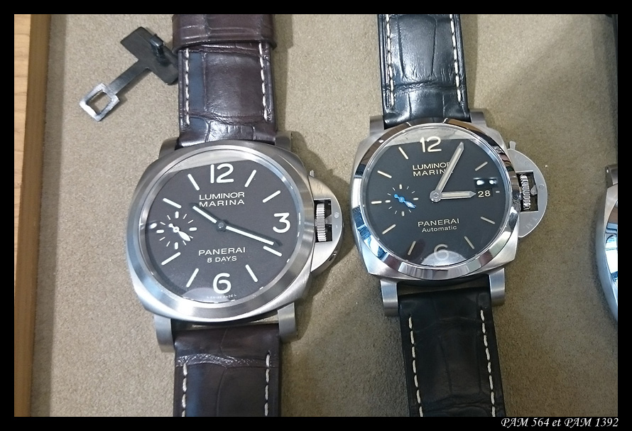 Ma PAM 564 Pam564+1392-1