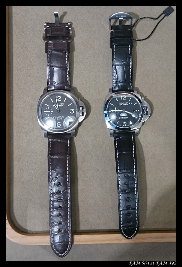 Ma PAM 564 Pam564+392-1